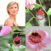 Boucles d'oreilles LUCIA – Image 3